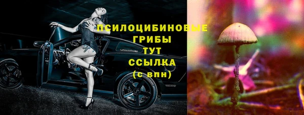 apvp Бугульма