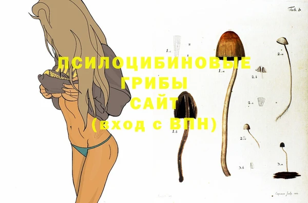 apvp Бугульма