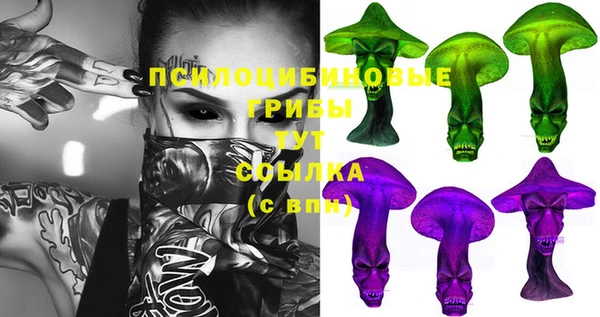 apvp Бугульма