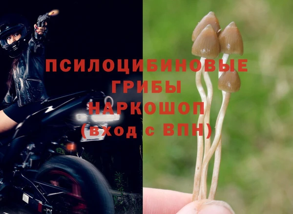 мяу мяу мука Бронницы