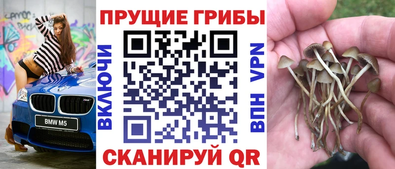 Галлюциногенные грибы Magic Shrooms  где можно купить   Дальнегорск 